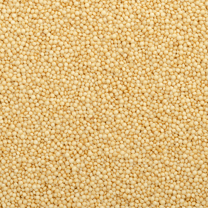 grain seeds amaranth seeds